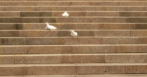 Similar image 20115200