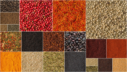 Similar image 20117483