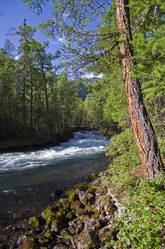 Similar image 20117260