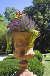 Similar image 20117327