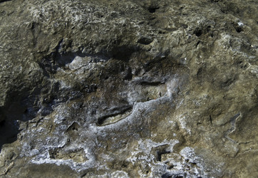 Similar image 20117330