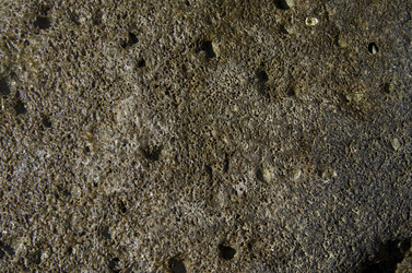 Similar image 20117335