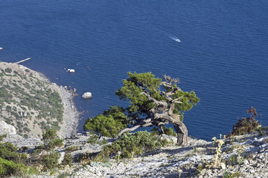 Similar image 20117331