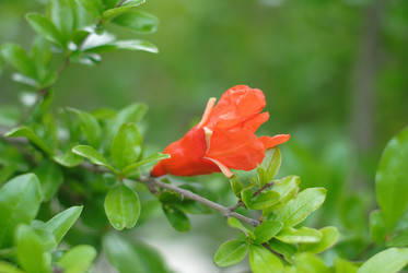 Similar image 20115194