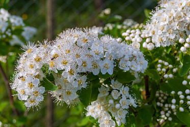 Similar image 20117270