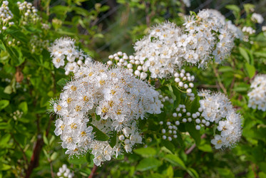 Similar image 20117623