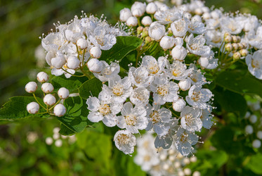 Similar image 20117954