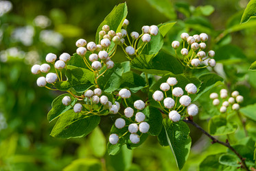 Similar image 20118159