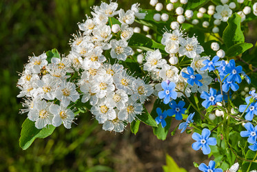 Similar image 20118180