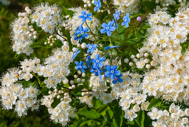 Similar image 20118187