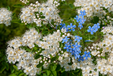 Similar image 20118190