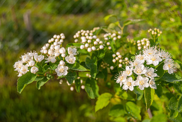 Similar image 20118469