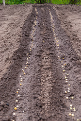 Similar image 20118457