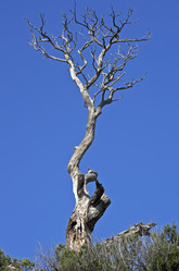 Similar image 20154748