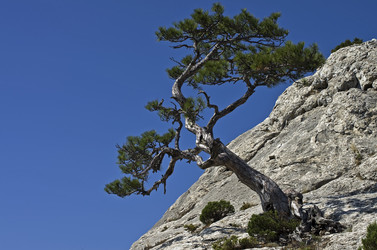 Similar image 20154750