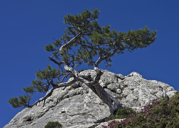 Similar image 20154751