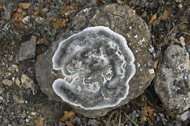 Similar image 20154756