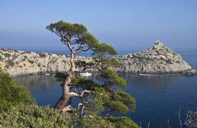 Similar image 20155155