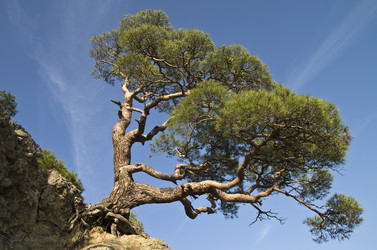 Similar image 20155161