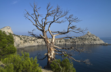 Similar image 20155173