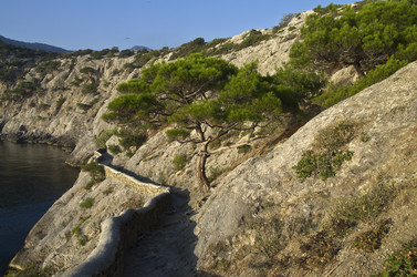 Similar image 20147796