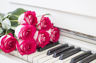 Similar image 20147980