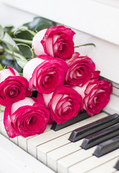 Similar image 20147982