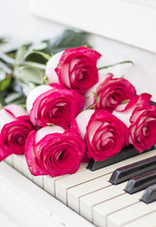 Similar image 20147984