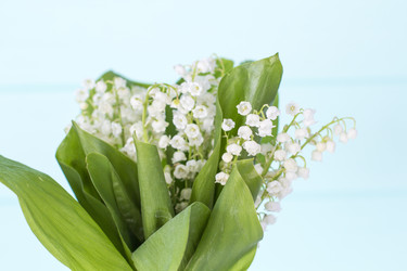 Similar image 20147987