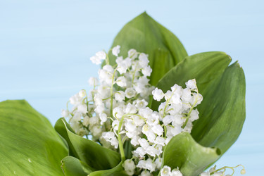 Similar image 20147989