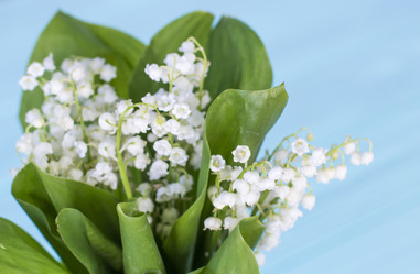 Similar image 20147991