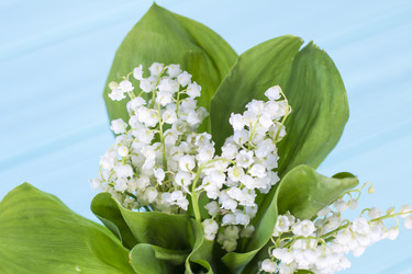 Similar image 20147992