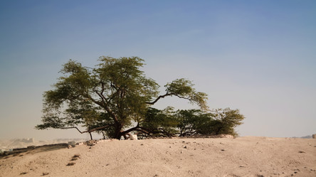 Similar image 20157833