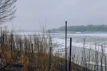 Similar image 20155163