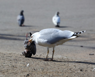 Similar image 20155167