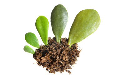 Similar image 20155169