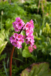 Similar image 20154739