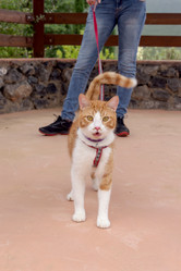 Similar image 20155253