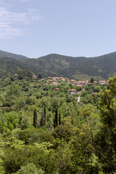 Similar image 20155259