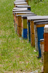 Similar image 20155270