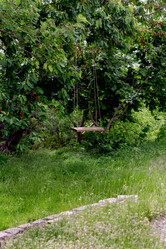 Similar image 20155296