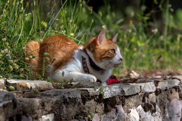 Similar image 20155298