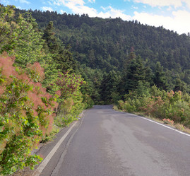 Similar image 20155304