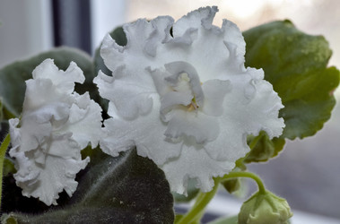 Similar image 20155186