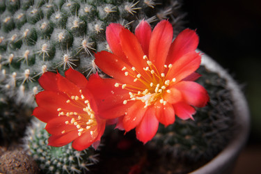 Similar image 20160062