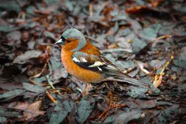 Similar image 20160063