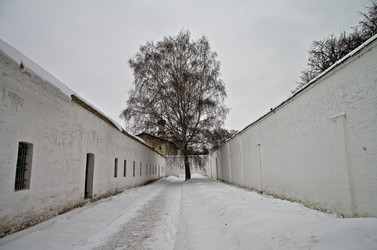 Similar image 20157696