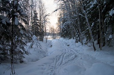 Similar image 20157705