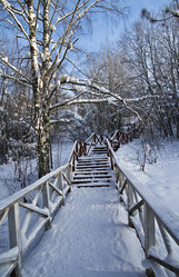 Similar image 20157709