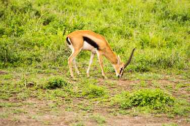 Similar image 20155241